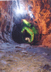 ym7.gif (60307 ֽ)