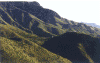 ym901.gif (74195 ֽ)