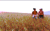 yms16.gif (22542 ֽ)